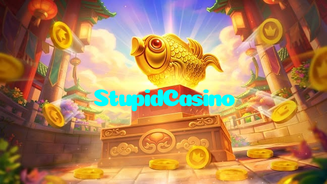 available types of StupidCasino bet including pre-match live express and system bets