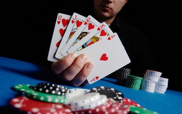 StupidCasino کیسینو میں بکراٹکھیلیں